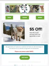 SAVE5 coupon verification screenshot