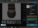SPRINGSHIP coupon verification screenshot