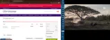 20FLASH coupon verification screenshot