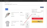 FREESHIRT coupon verification screenshot