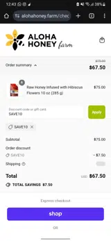 SAVE10 coupon verification screenshot