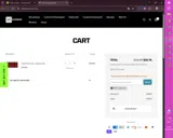 COUPONBIRDS5 coupon verification screenshot
