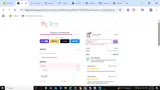 Aly Jean Boutique coupon verification screenshot