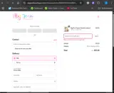 Aly Jean Boutique coupon verification screenshot