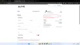 SPRING25 coupon verification screenshot