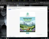 SPRING2026 coupon verification screenshot