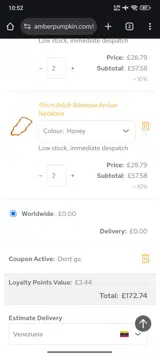 DG10 coupon verification screenshot