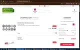 PRINTEMPS20 coupon verification screenshot