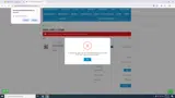 American Wholesale Fireworks coupon verification screenshot