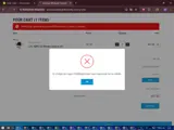 American Wholesale Fireworks coupon verification screenshot