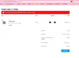 American Wholesale Fireworks coupon verification screenshot