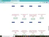 Amigo Foods coupon verification screenshot