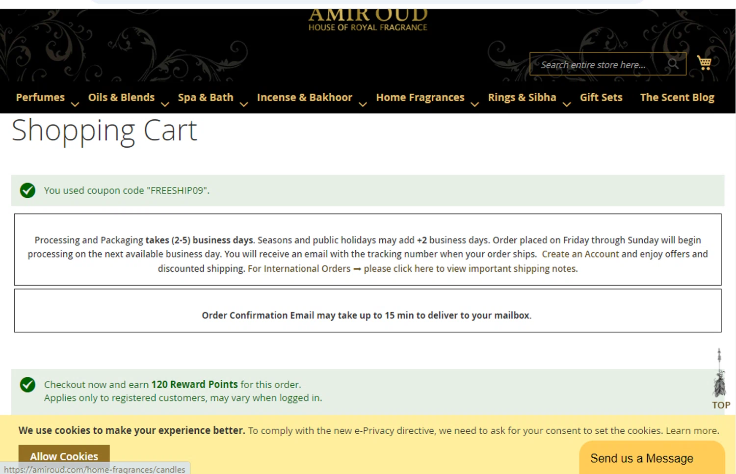 where to use Amir Oud promo code box