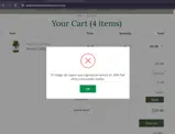 WINTER26 coupon verification screenshot