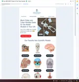 BFCM-2024 coupon verification screenshot