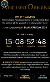 BLACKFRIDAY2024 coupon verification screenshot