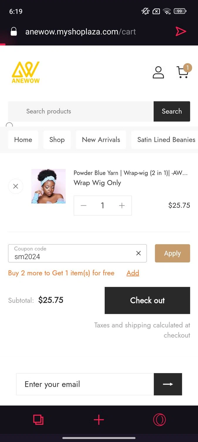 Anewow discount code screenshot showing code sm2024 applied at Anewow checkout page. Uploaded by SimplyCodes community member Mykeusername on Feb 19, 2025