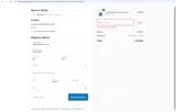 SUMMER100 coupon verification screenshot