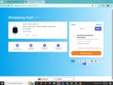 ZAYU15 coupon verification screenshot