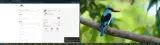 LEEOR15 coupon verification screenshot