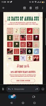 Anna Sui coupon verification screenshot