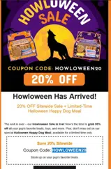 HOWLOWEEN20 coupon verification screenshot