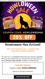 HOWLOWEEN20 coupon verification screenshot