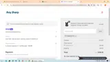 THEBIGCAT10 coupon verification screenshot