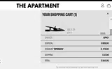 SPRING25 coupon verification screenshot