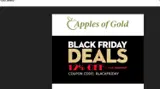 blackfriday coupon verification screenshot