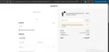 PATINA coupon verification screenshot