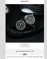 SMTB coupon verification screenshot