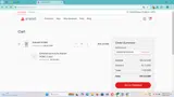 BREATHESAFEAIR coupon verification screenshot