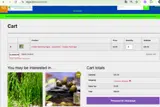 SUMMERFISH coupon verification screenshot