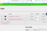 SUMMERFISH coupon verification screenshot