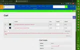 SPRING25FISH coupon verification screenshot