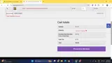 SPRING25FISH coupon verification screenshot