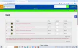 FALLGUPPY coupon verification screenshot