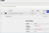 SPRING25FISH coupon verification screenshot