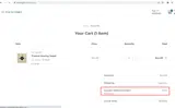 Bullets4Bucks coupon verification screenshot