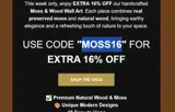 MOSS16 coupon verification screenshot