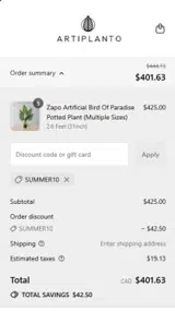 SUMMER10 coupon verification screenshot