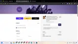 AscensionOrgonites04LP coupon verification screenshot