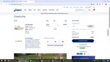 ASICS coupon verification screenshot