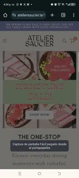 SPRINGFLING coupon verification screenshot