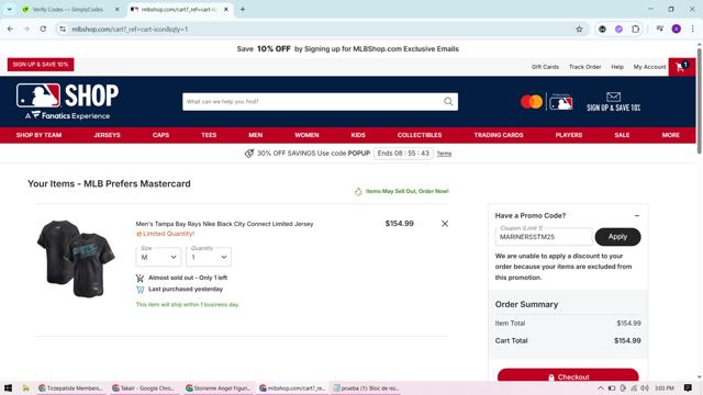 Atlanta Braves checkout page showing Atlanta Braves promo code box | Screenshot taken by SimplyCodes community member on Oct 3, 2025