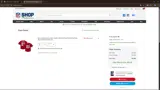 Atlanta Falcons coupon verification screenshot