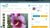 B4G20% coupon verification screenshot