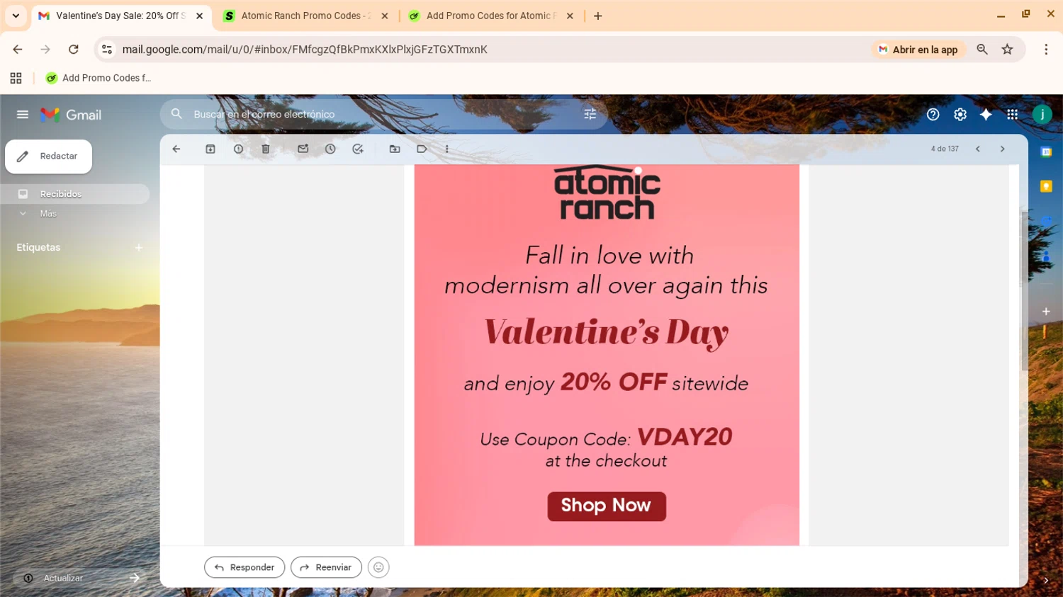 Atomic Ranch promo code screenshot showing code vday20 applied at Atomic Ranch checkout page. Uploaded by SimplyCodes community member yennifergonzalez on Feb 10, 2026