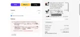 ATOTO coupon verification screenshot